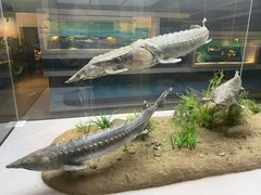 -武汉园博园(武汉自然博物馆)
