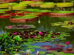 -国家植物园南园