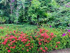 -三亚海棠湾万丽度假酒店