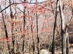 -丹东天桥沟景区