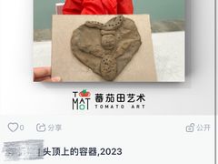 -学知乐教育·幼小衔接·小学科辅导(浦东外高桥森兰中心)