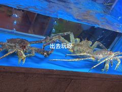 -龍千代·味自慢(黑龙江北路店)