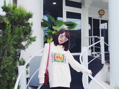-费特希耶滑翔伞