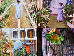-正佳雨林生态植物园