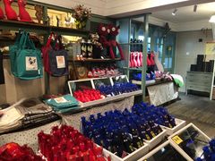 -猫咪博物馆(顶澳仔猫街店)