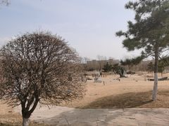 -莫子山公园