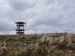 -龙里油画大草原旅游区