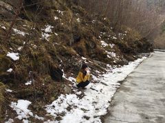 -叠溪松坪沟景区