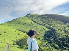 -大姆山草场