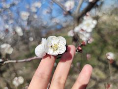 -祥源·阜阳生态乐园