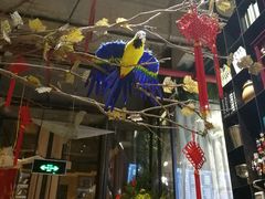 -范设计花园餐酒咖·中西餐·咖啡厅·酒馆