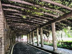 -重庆医科大学附属第一医院(金山院区)