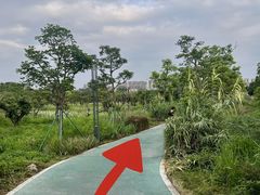-松山湖风景区松湖烟雨