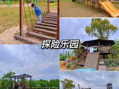 -上海长兴岛郊野公园