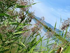 -野鸭湖国家湿地公园