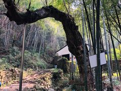 -会稽山峡洞漂流-上青古道