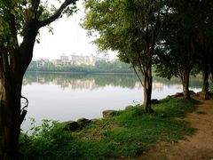 -三水森林公园