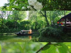 -西溪国家湿地公园