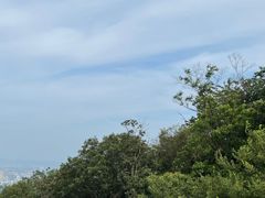 -紫金山山顶公园
