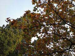 -香山公园-东宫门售票处