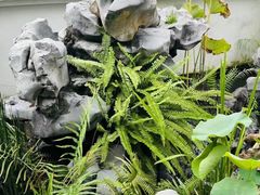 -道南書院·私房菜·早午茶·茶馆