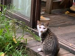 -三圣花乡旅游区