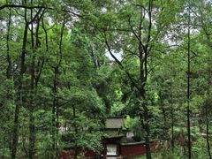 -武侯墓风景区