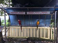 iphone_upload_pic-百鸟园