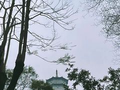 -深圳国际园林花卉博览园