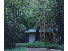 -晓港公园