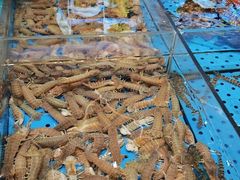 -大连湾旭日·家宴·海肠捞饭(马栏广场店)