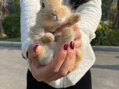 -广州锦绣香江度假别墅