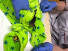 -艾贝尔宠物诊疗