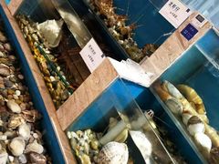 -福娣·金沙银贝海鲜火锅