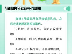 -瑞派申生动物医院·24H夜诊·国际动物医疗中心·骨外科(吴中路店)