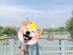 -祥源·阜阳生态乐园