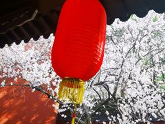 -钱王祠