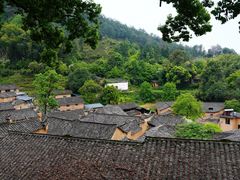 -杨家堂村