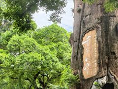 -青青世界