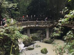-龙水峡地缝景区