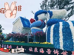 -荷兰花海