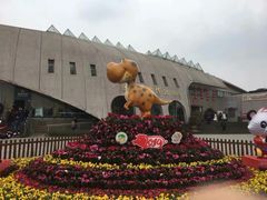 -自贡恐龙博物馆