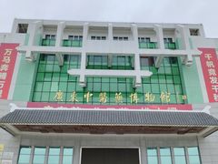 -广东中医药博物馆