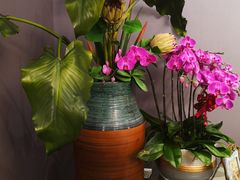 -外滩1288花园丽舍