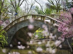 -南汇桃花村