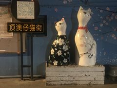 -猫咪博物馆(顶澳仔猫街店)