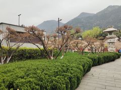 -华清宫景区