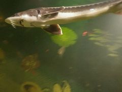 -鞍山岫岩沟汤温泉