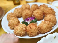 -丁老爷子苏香圆