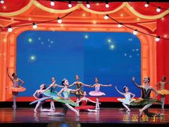 -芭蕾仙子 FairyBallet 少儿芭蕾舞蹈中心(丽都旗舰店)